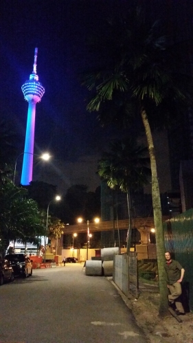 Der Menara Kuala Lumpur, siebthöchster Fernsehturm der Welt (421 Meter hoch), eine Palme und ich auf dem Rückweg von Little India.